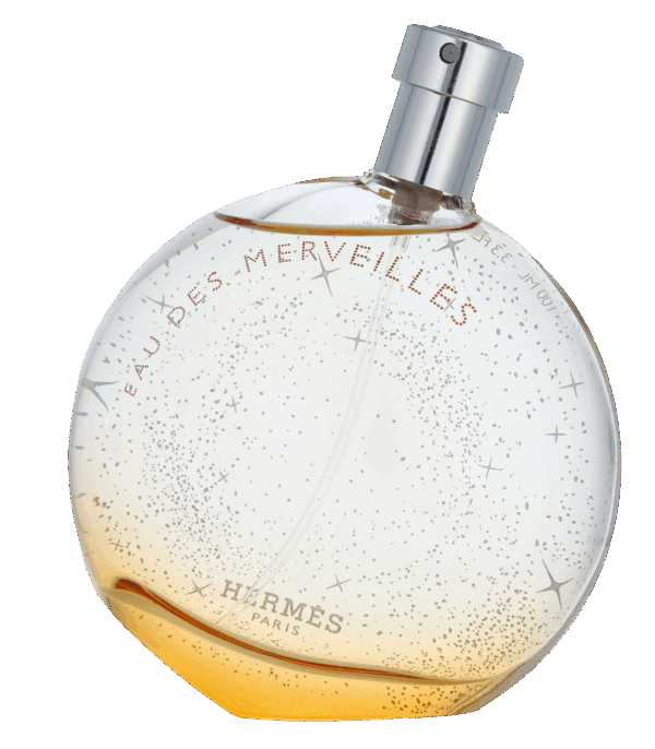 Hermès - Hermes Eau Des Merveilles Eau de toilette Spray 100 ml Dames