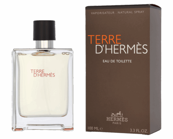 Hermès - Hermes Terre D&apos;Hermes 100 ml Eau de toilette Heren