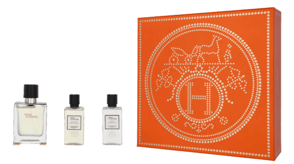 Hermès - Hermes Terre D&apos;Hermes Giftset Eau de Toilette 130 ml Heren
